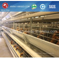 Chicken Battery Cage